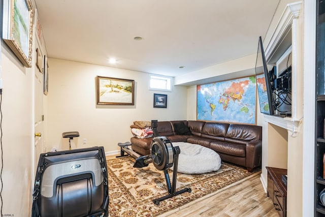 living room featuring light hardwood / wood-style floors