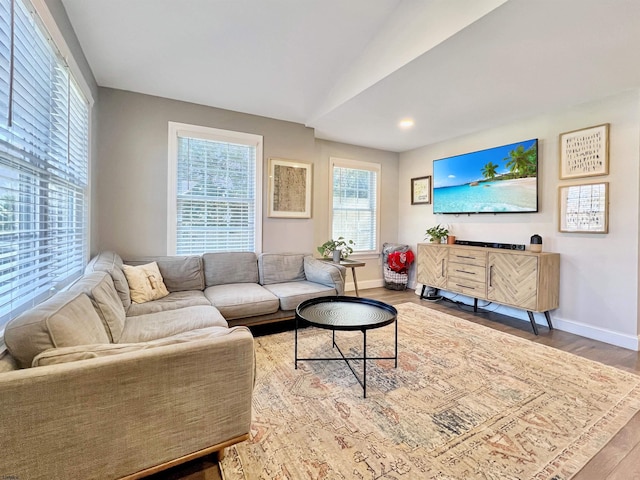 living room with hardwood / wood-style floors