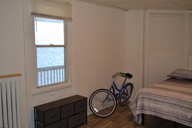 bedroom with hardwood / wood-style flooring, radiator, and a drop ceiling