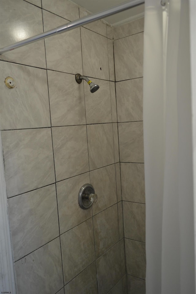 interior details with walk in shower