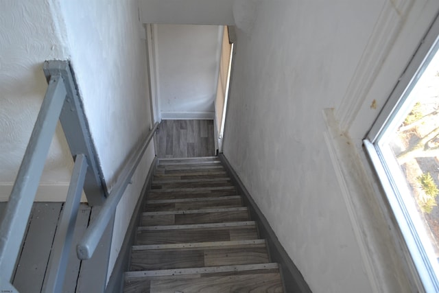 stairway with wood-type flooring