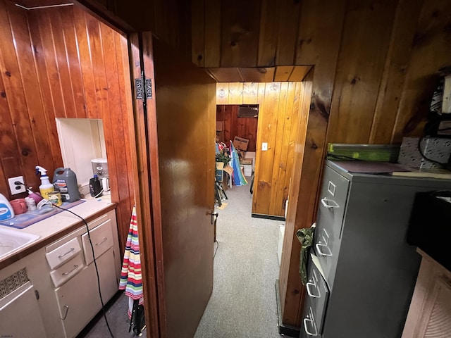 clothes washing area featuring wood walls