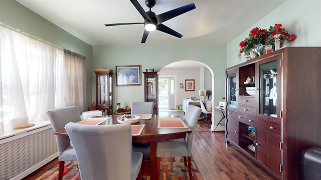 dining area with ceiling fan, dark hardwood / wood-style floors, and radiator