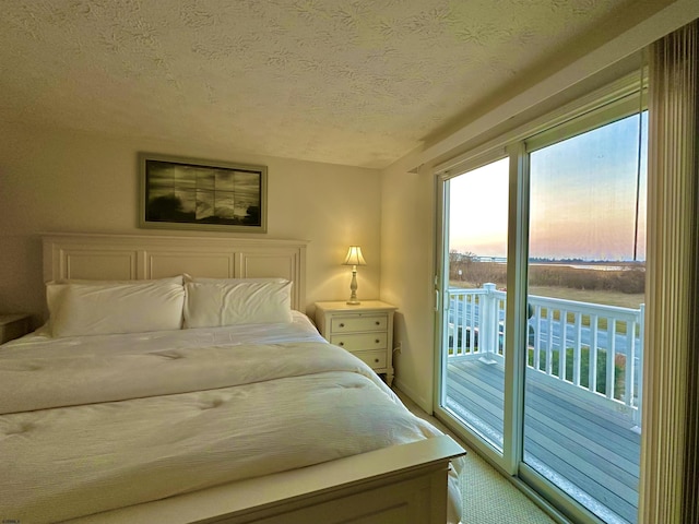 bedroom featuring access to exterior and a textured ceiling