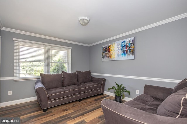 living room with crown molding and dark hardwood / wood-style floors