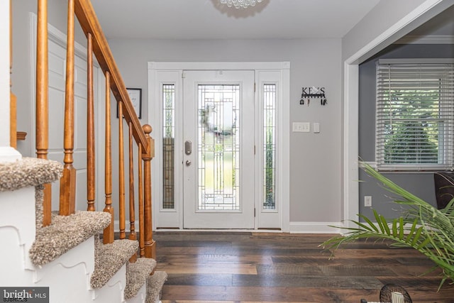 foyer entrance featuring dark wood-type flooring