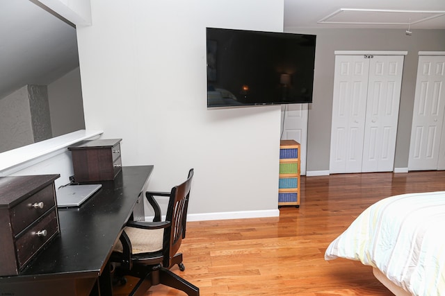 bedroom featuring multiple closets and wood-type flooring