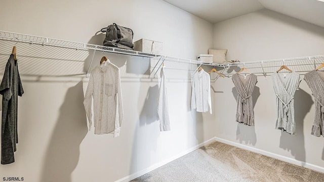 walk in closet featuring lofted ceiling and carpet floors