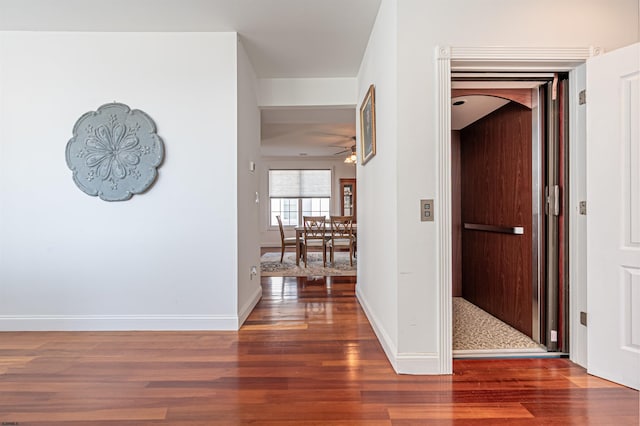 hall featuring dark hardwood / wood-style floors and elevator