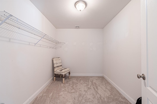 spacious closet featuring light carpet