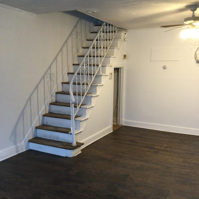 staircase featuring wood-type flooring and ceiling fan