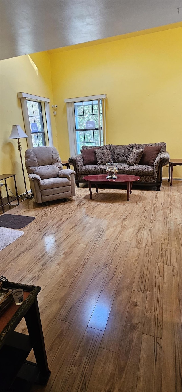 living room with light hardwood / wood-style floors