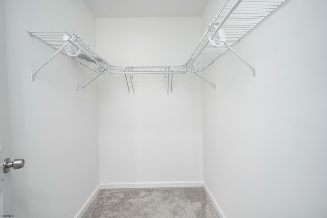 walk in closet featuring light colored carpet