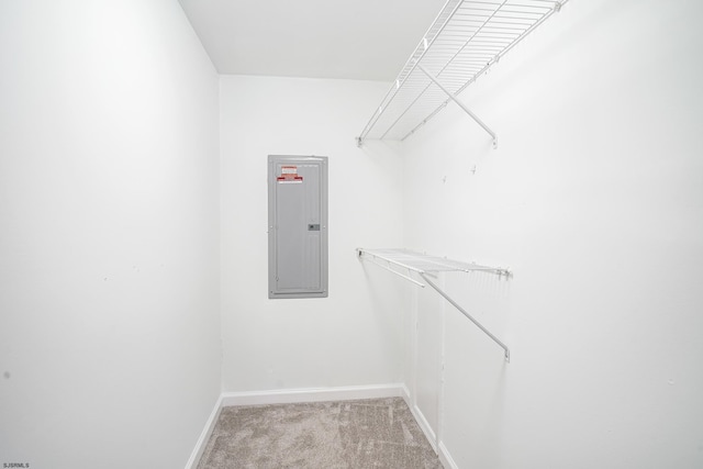 spacious closet with electric panel and carpet