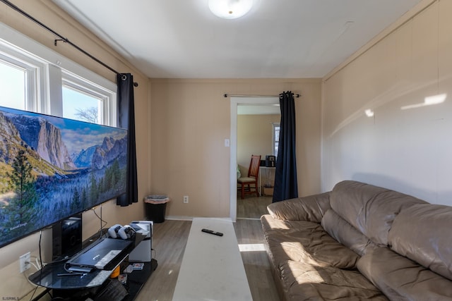 living room with dark hardwood / wood-style floors