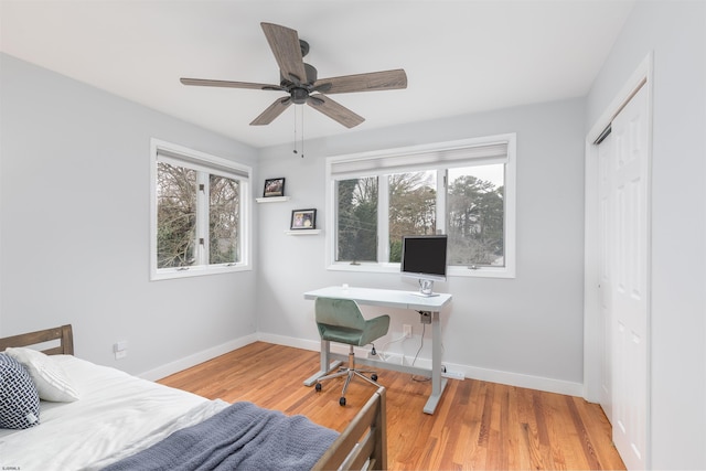 bedroom with hardwood / wood-style flooring, ceiling fan, and a closet