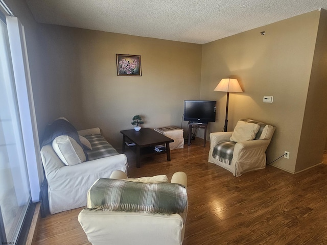 living room with a textured ceiling and wood finished floors