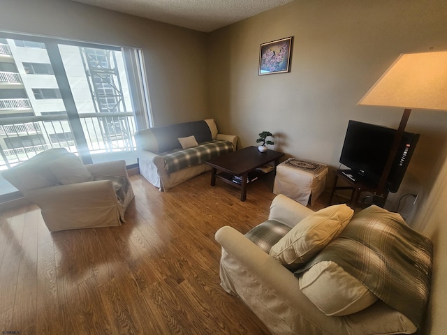 living area featuring a textured ceiling and wood finished floors