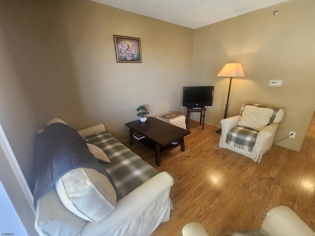 living area featuring wood finished floors
