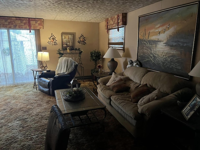 living area with carpet flooring