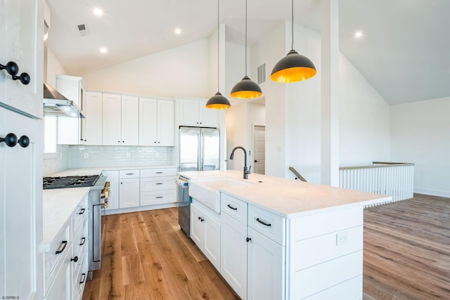 kitchen with wall chimney exhaust hood, light wood-style floors, a sink, and stainless steel appliances