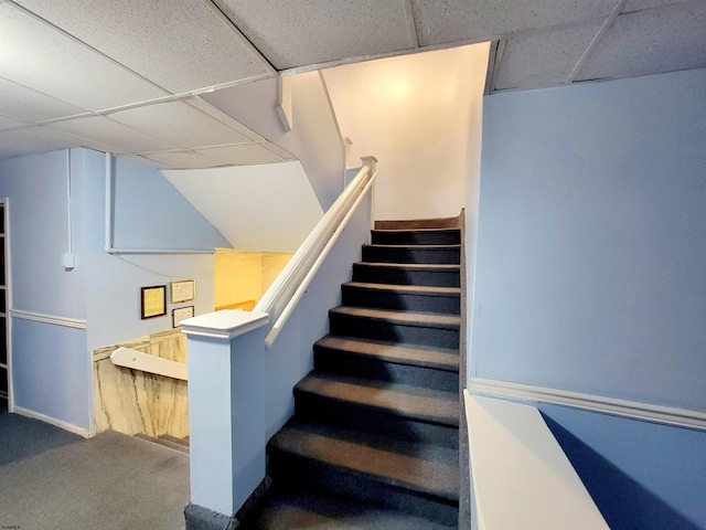 stairway featuring carpet floors and a paneled ceiling