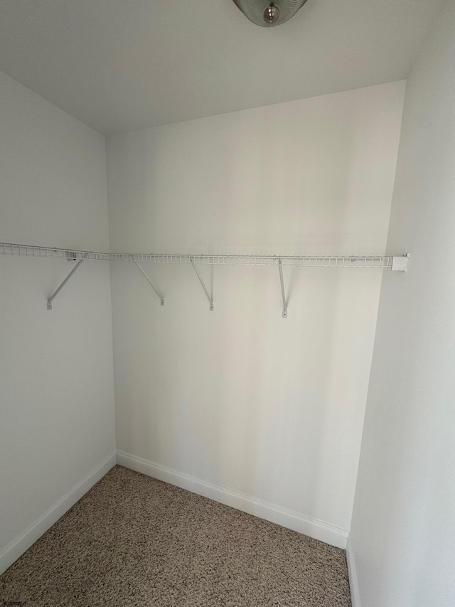 walk in closet featuring carpet flooring