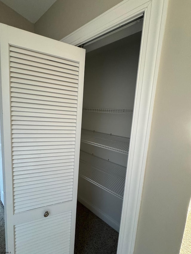 view of closet