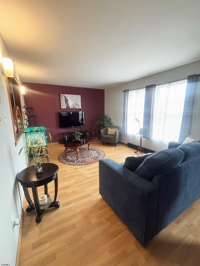 living room featuring wood finished floors