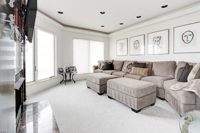 living room featuring carpet floors