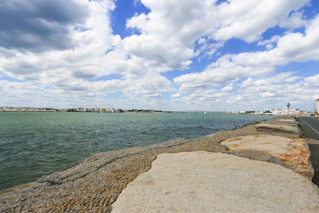 view of water feature