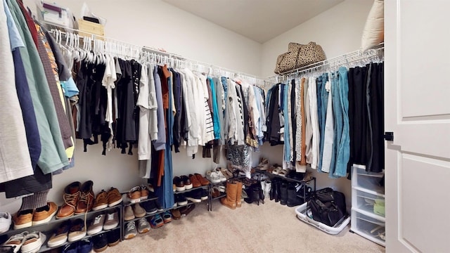 spacious closet with carpet