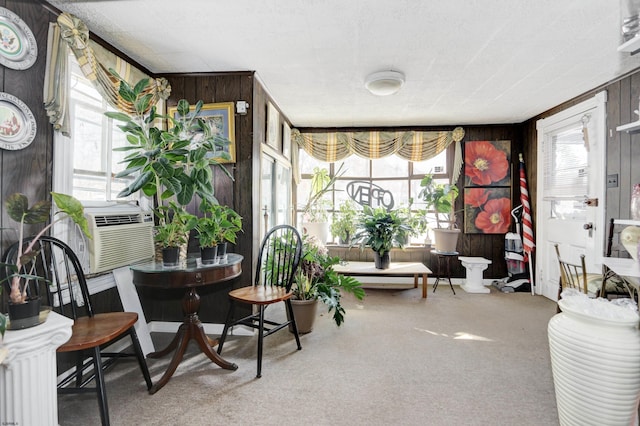 interior space with carpet floors and wooden walls