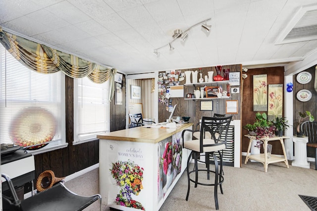 interior space with carpet floors, a kitchen bar, visible vents, and wooden walls