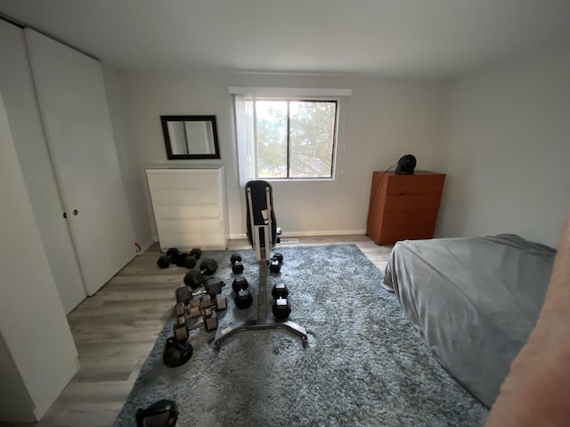 bedroom featuring light wood finished floors