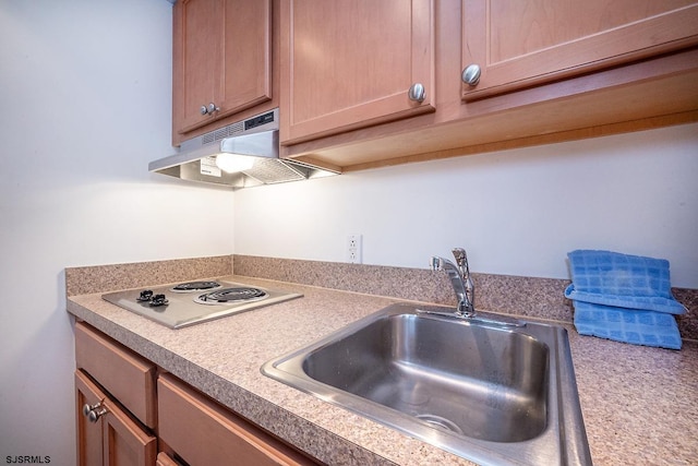 kitchen with under cabinet range hood, electric cooktop, a sink, light countertops, and brown cabinets