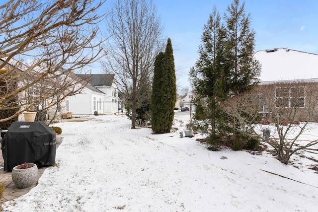 view of yard covered in snow