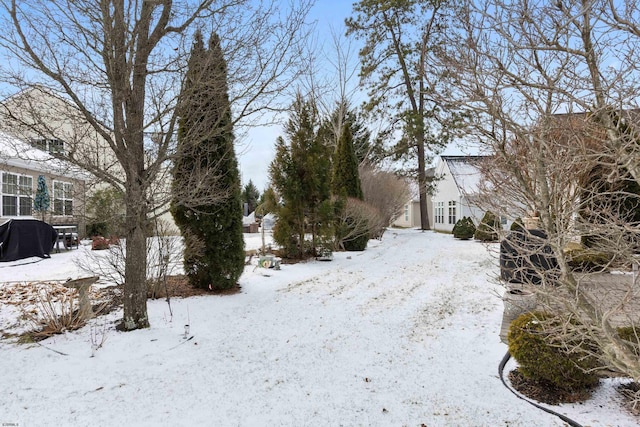 view of snowy yard