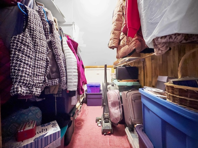 walk in closet featuring carpet floors