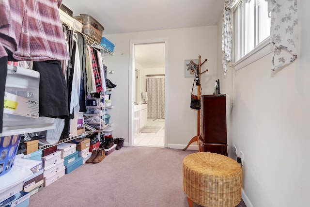 spacious closet with carpet floors