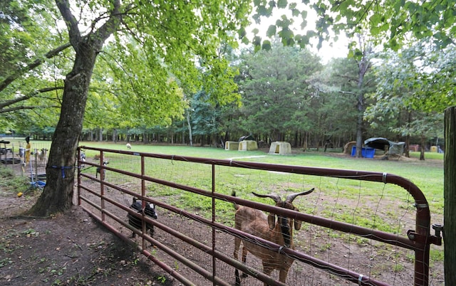 view of yard featuring a storage shed, fence, and an outbuilding