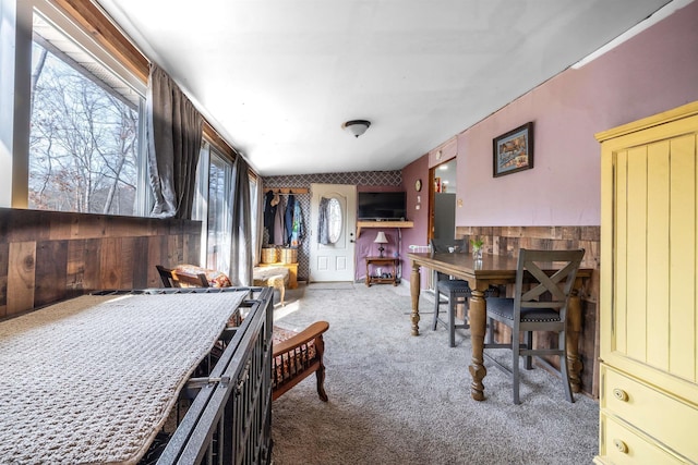 interior space featuring a wainscoted wall and carpet