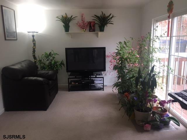 view of carpeted living area