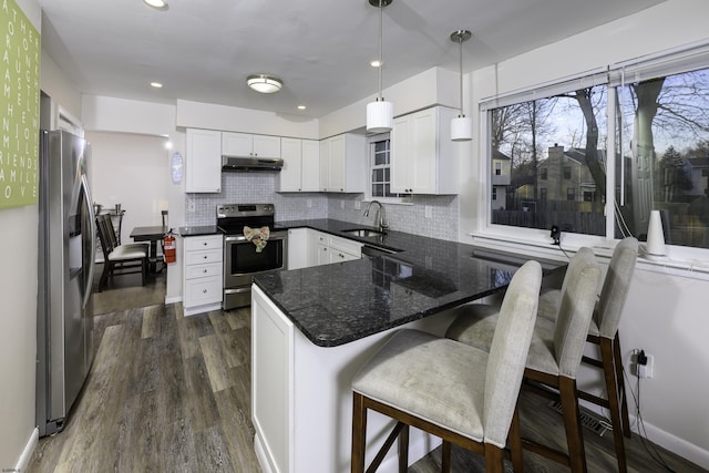 kitchen featuring under cabinet range hood, a peninsula, a sink, appliances with stainless steel finishes, and tasteful backsplash