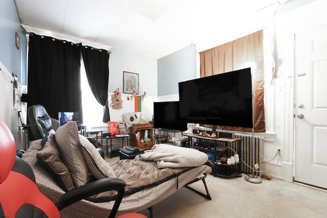 carpeted living area with radiator heating unit