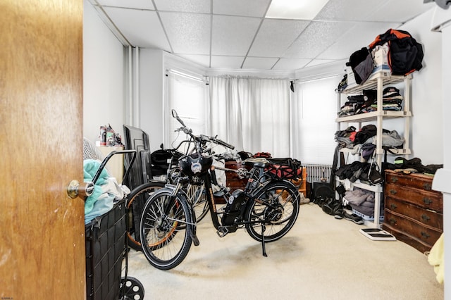 interior space featuring bike storage