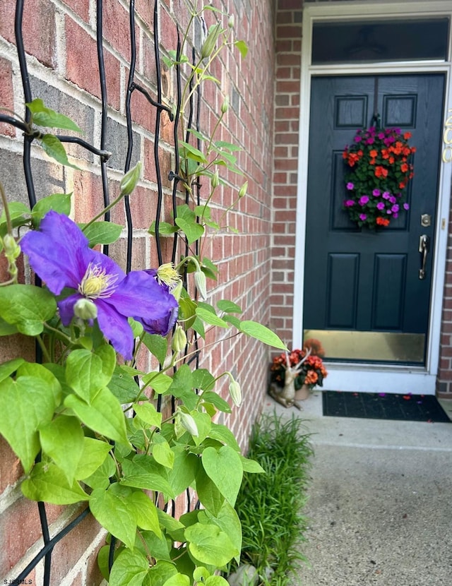 view of exterior entry featuring brick siding