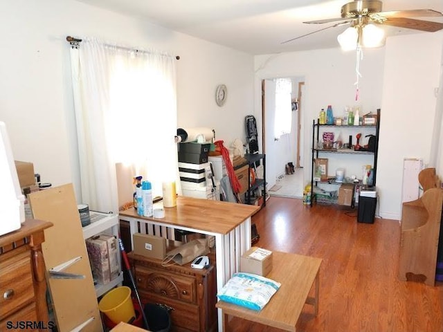 interior space with ceiling fan and wood finished floors