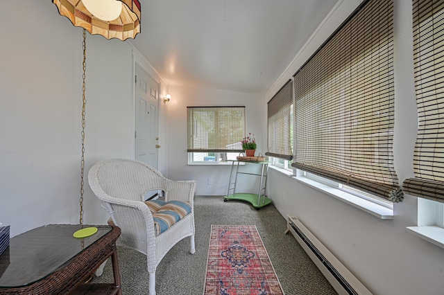 sunroom / solarium with vaulted ceiling and a baseboard heating unit