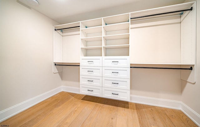 4 Grenada Ln, Ocean City, NJ 08226 - walk in closet with light wood-type flooring